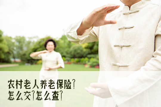 农村每年交300保险是什么？农村老年人养老保险？怎么交？怎么查？插图2