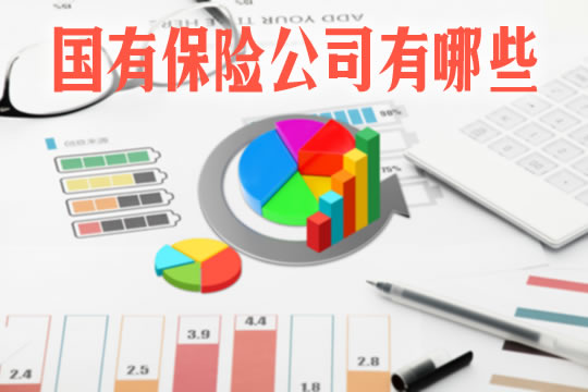 有哪些国有保险公司？插图