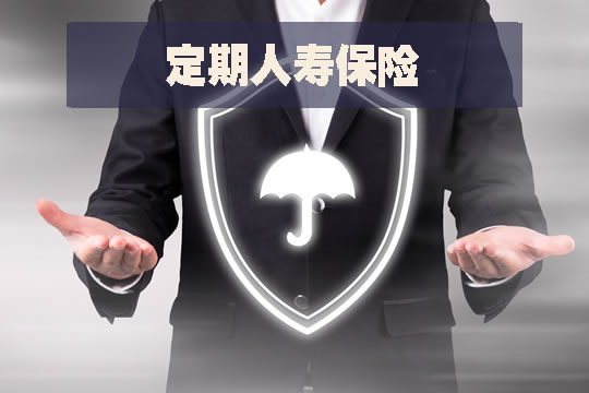 定期人寿保险有哪些？插图