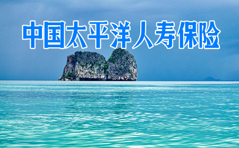 中国太平洋人寿保险介绍插图