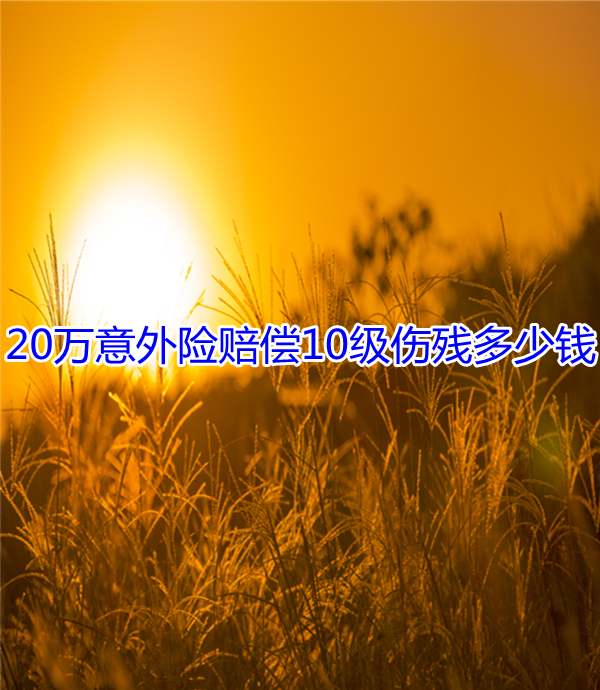 20万意外险的保费是多少？20万意外险赔偿10级残疾多少钱？插图4