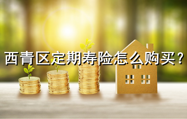 西青区定期寿险怎么购买，西青区寿险在哪买插图