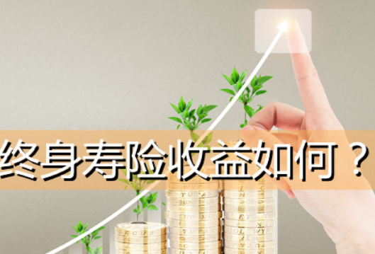 臻爱金生增额终身寿险怎么买插图