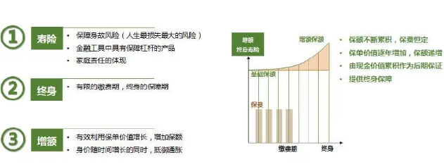 金福人生增额终身寿险返还吗，能返现吗？插图