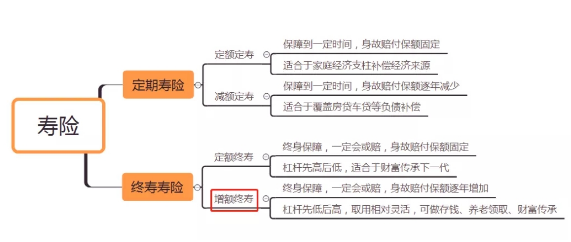 什么是终身增额寿险要科学认识和分析插图