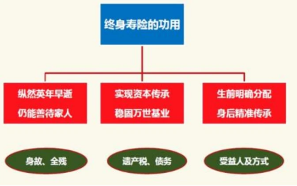 增额终身寿险哪款好，选择正规的平台非常重要插图