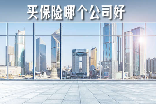 十大保险公司有哪些？插图