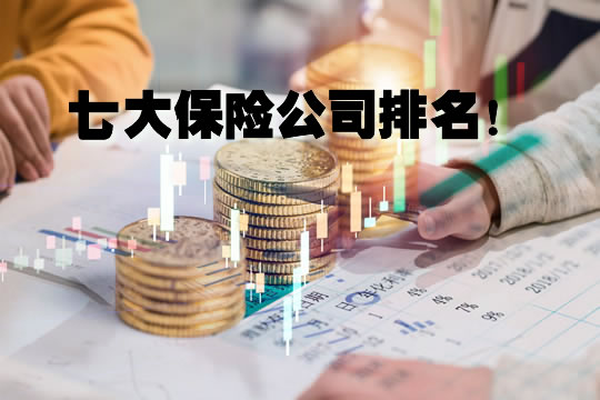 中国七大保险公司排名！哪家保险公司排名第一？插图