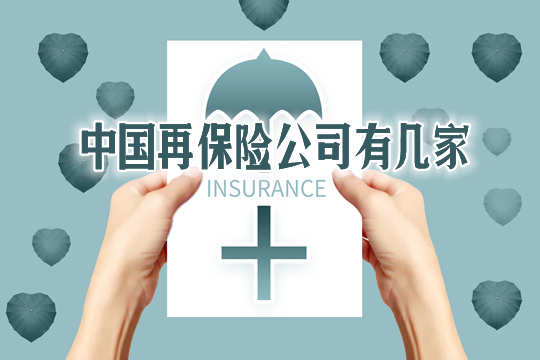再保险是什么意思？中国再保险公司有几家？哪家会比较好？插图