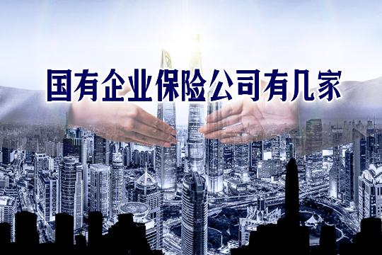 全国有多少保险公司？有多少家国有企业保险公司？插图