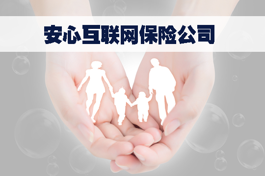 互联网保险公司的经营范围是什么？互联网保险公司简介插图