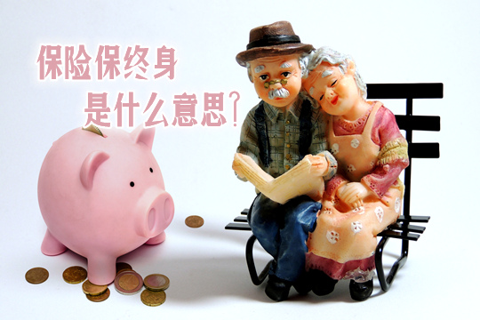 终身保险是什么意思？终身保险和保定期哪个好？插图
