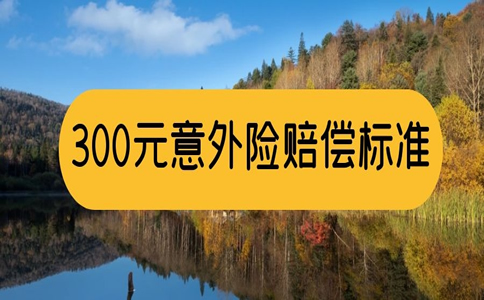 300元意外险保额多少？300元意外险赔偿标准插图