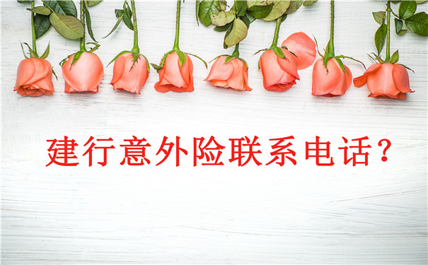 建行意外险联系电话插图