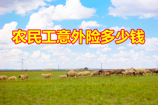 农民工意外险多少钱？插图