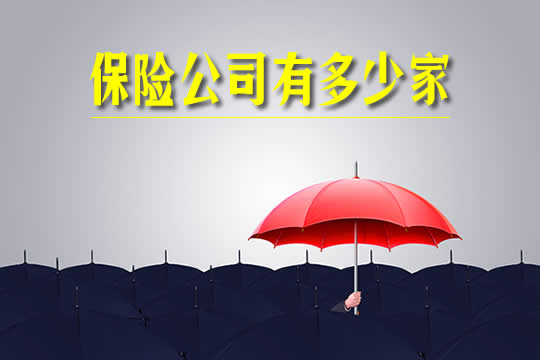 保险公司有多少家？小公司很难理赔保险吗？你能买吗？插图