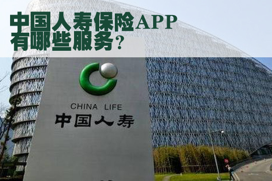 中国人寿保险app手机下载！中国人寿app什么功能和服务？插图3