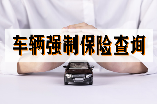 车辆强制保险查询！车辆强制保险包括哪些？插图
