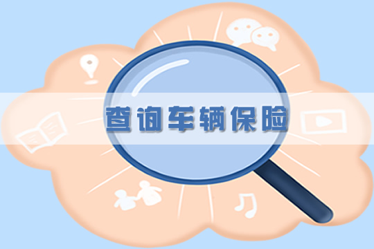 查询车辆保险，如何查询车辆保险？插图