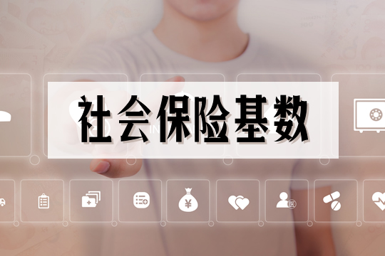 社会保险基数插图