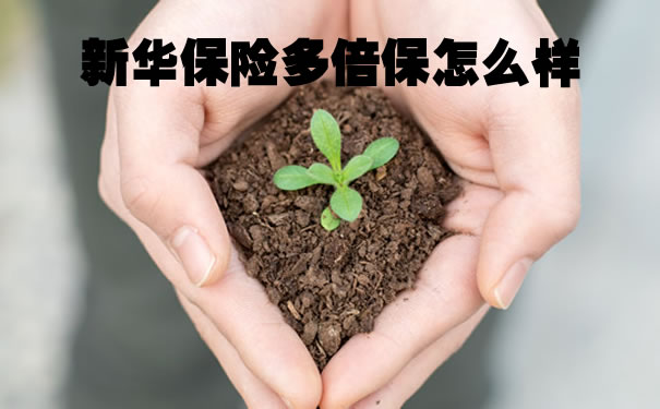 新华保险多倍保怎么样？插图