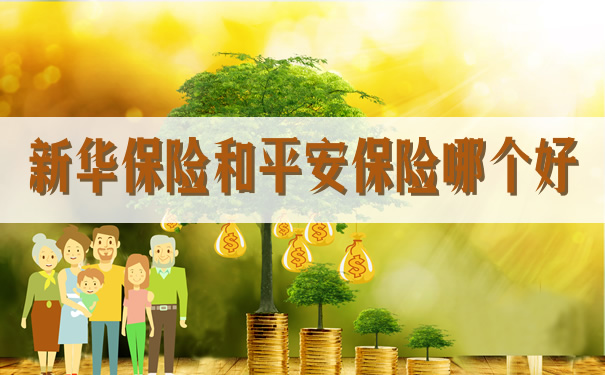 新华保险和平安保险哪个好？插图