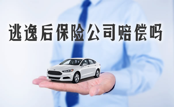 逃逸后保险公司赔偿吗？插图