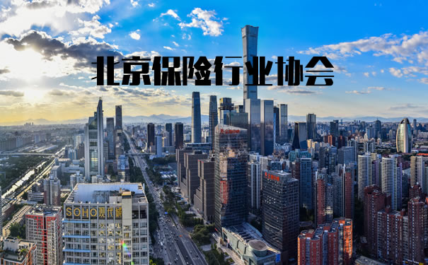 北京保险业协会插图