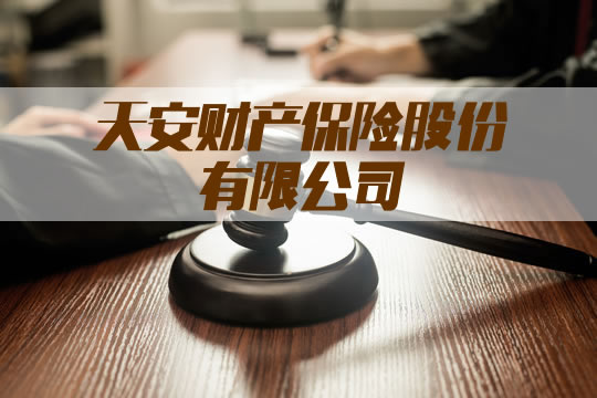 天安财产保险有限公司插图2
