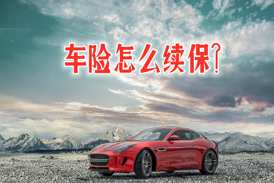 如何续保车险？插图2