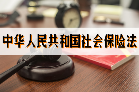 中华人民共和国社会保险法插图2