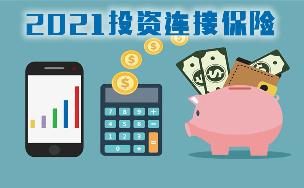 投资连接保险！投资连接保险的特点有哪些？插图