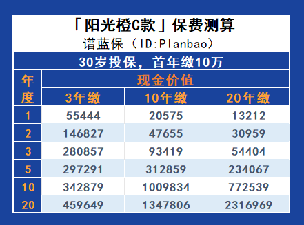 阳光人寿阳光橙C款定期寿险：全面保障你的未来插图4