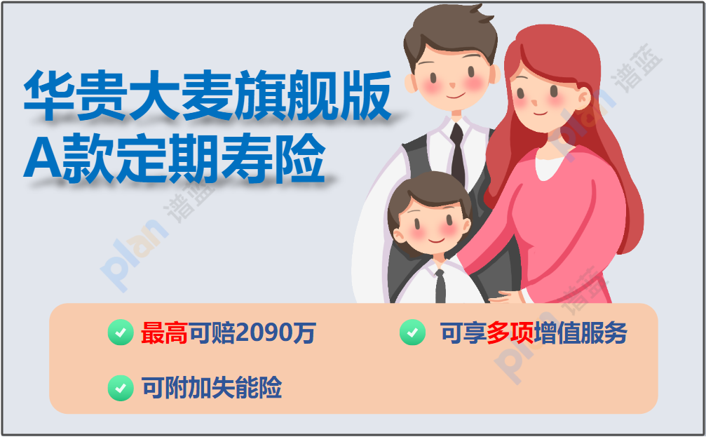 华贵大麦旗舰版A款定期寿险：全面保障内容，多样化选择