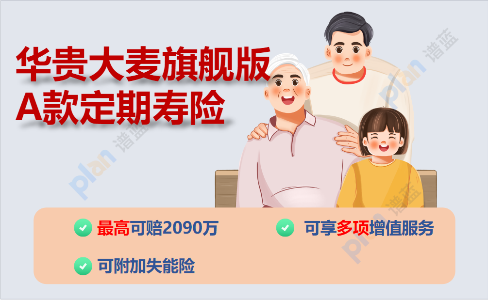 华贵大麦旗舰版A款定期寿险：满足不同需求的全面保障选择！