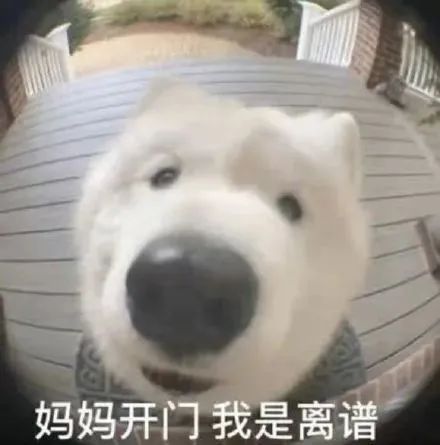 离谱！买大额存单都要找“黄牛代抢”了？！插图2