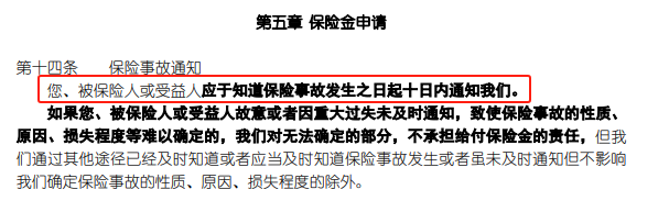 在谱蓝买的保险，怎么理赔？插图12
