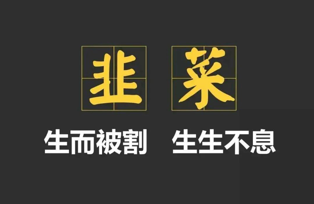逆势上涨，年化21%！插图14
