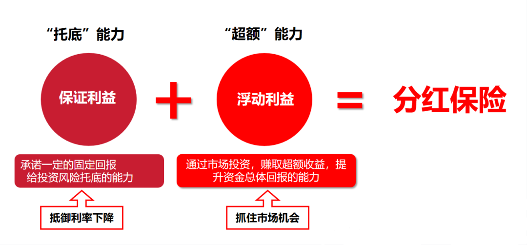 一文说清什么是分红险！插图2