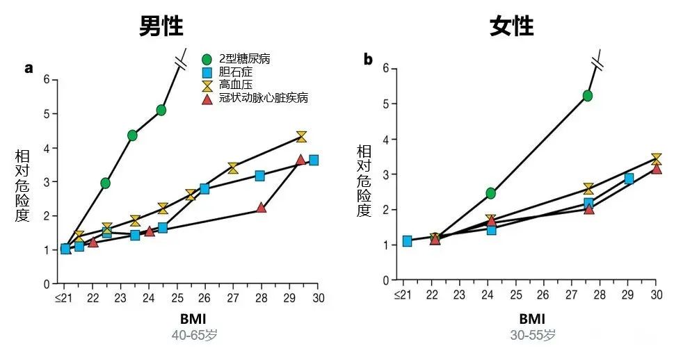 超重/肥胖，BMI不达标，居然影响买保险！插图4
