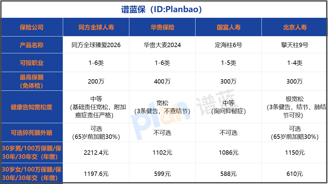 2026定期寿险怎么选？优缺点+投保避坑全攻略，新手必看