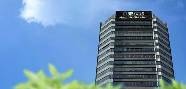 2026 寿险榜单深度解析:分红型终身寿险推荐哪家?四大品牌全面对比插图2 2026 寿险榜单深度解析:分红型终身寿险推荐哪家?四大品牌全面对比插图2