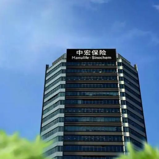 外资保险公司哪家好?三十载双资协同深耕,2026中宏保险打造合资寿险标杆插图3 外资保险公司哪家好?三十载双资协同深耕,2026中宏保险打造合资寿险标杆插图3