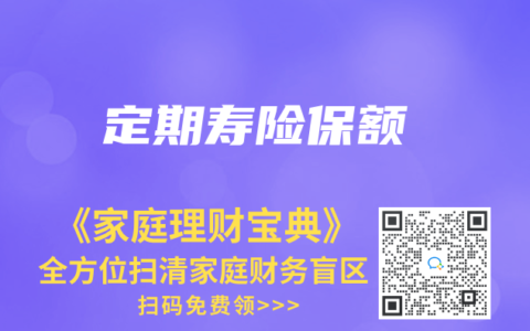 定期寿险保额