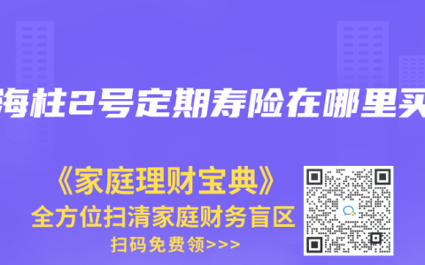 定海柱2号定期寿险在哪里买