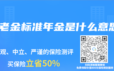 养老金标准年金是什么意思