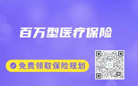 百万型医疗保险