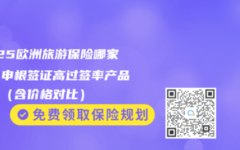 2025欧洲旅游保险哪家好？申根签证高过签率产品推荐（含价格对比）