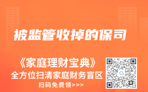 被监管收掉的保司