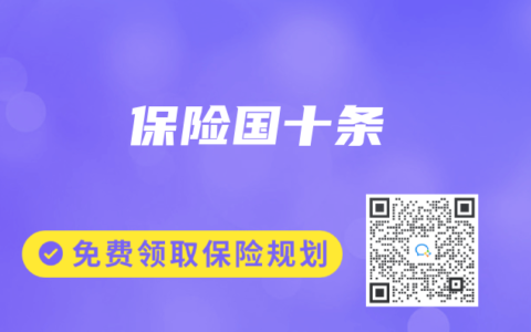 保险国十条